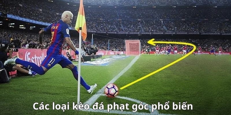 Kèo phạt góc Các loại kèo phạt góc tại Hitclub